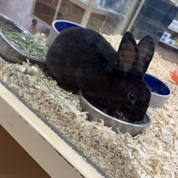 Pet Supermarket - Pet Stores Near Me - Brandon, Florida