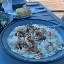 Backwater Fins - Alfredo Seafood