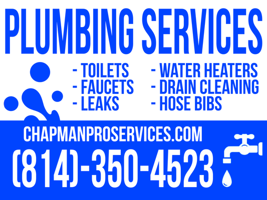 Chapman Pro Services Logo