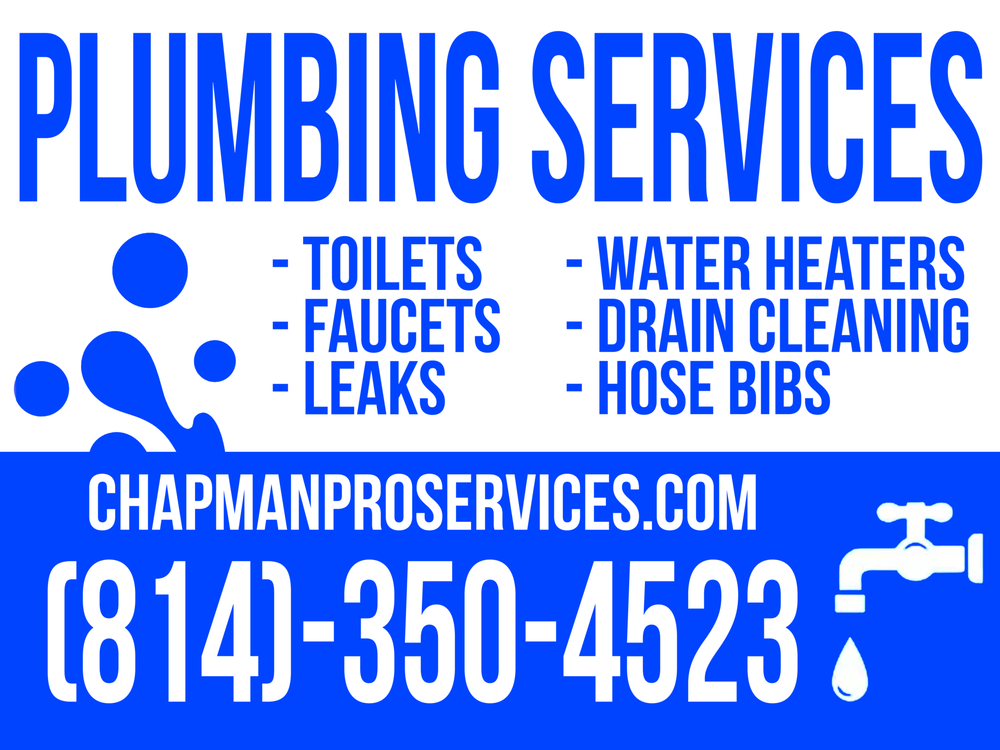 Slide of Chapman Pro Services