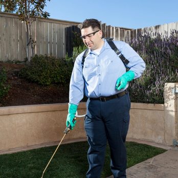Bad Bug Pest Control - Pest Control Near Me - Las Vegas, Nevada
