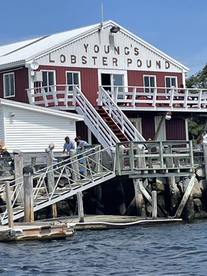 Young's Lobster Pound by null