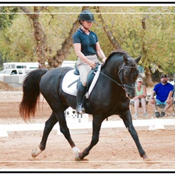 Woodland Stallion Station
