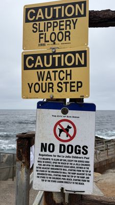 Children's Pool La Jolla by null