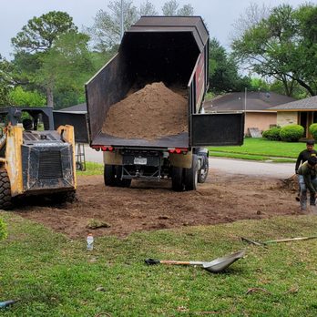 Mg Tree Service - Tree Services Near Me - Houston, Texas Mg Tree Service - Tree Services Near Me - Houston, Texas