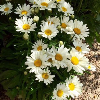 Hunter's Nursery - Nurseries & Gardening Near Me - Big Bear Lake, California