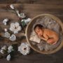 Photo of Cari Mac Photography