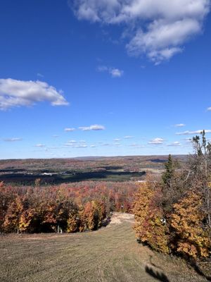 SkyBridge Michigan by null