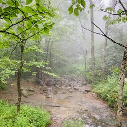Stream Stream