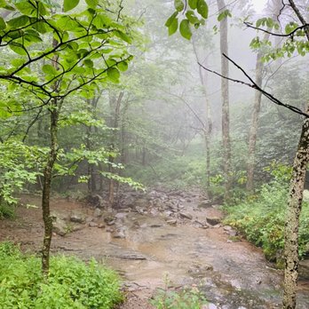 Dark Hollow Falls Trail - Stream - Hiking Near Me - syria, Virginia Dark Hollow Falls Trail - Stream - Hiking Near Me - syria, Virginia