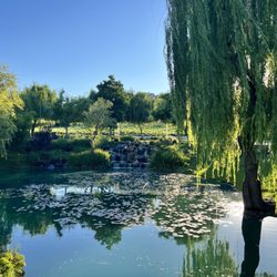 Yin Ranch - Yin Ranch pond