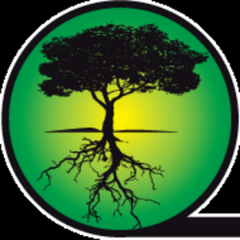 WC Tree Service - Tree Services Near Me - Corona, California