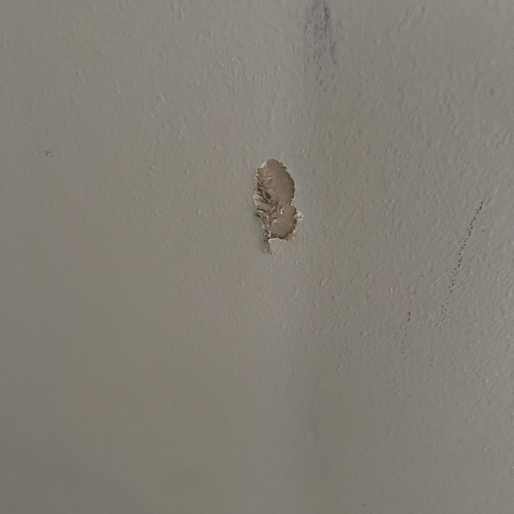 Back Stage Realty - Holes on almost every wall that looked like this. - Real Estate Services Near Me - Niceville, Florida Back Stage Realty - Holes on almost every wall that looked like this. - Real Estate Services Near Me - Niceville, Florida