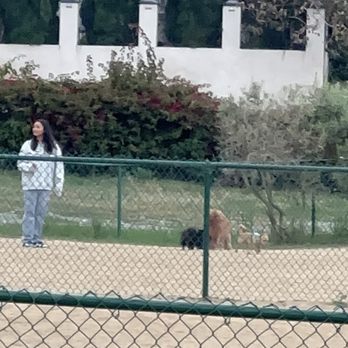 Redondo Beach Dog Park - Dog Parks Near Me - Redondo Beach, California Redondo Beach Dog Park - Dog Parks Near Me - Redondo Beach, California