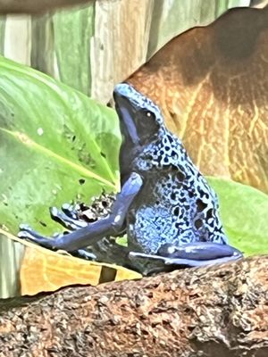 Philadelphia Zoo by null