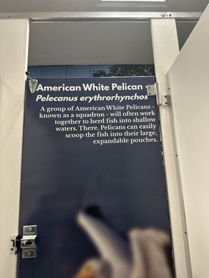 J.N. "Ding" Darling National Wildlife Refuge Visitor and Education Center by null