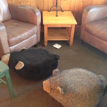 Caribou Coffee - Cue bear ottomans. - Coffee & Tea Near Me - Big Lake, Minnesota