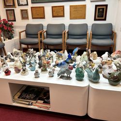 Ramireddy K MD - My cardiologists office loves birds