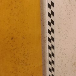 Mold in the bath.