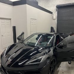 Tamiami Tint