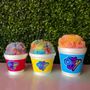 Sno Biz of Summerville