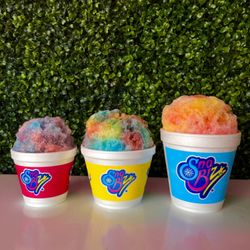 Sno Biz of Summerville