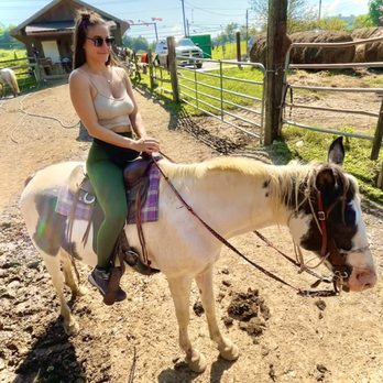 Goldrush Stables & Stage Lines - Horseback Riding Near Me - Pigeon Forge, Tennessee Goldrush Stables & Stage Lines - Horseback Riding Near Me - Pigeon Forge, Tennessee
