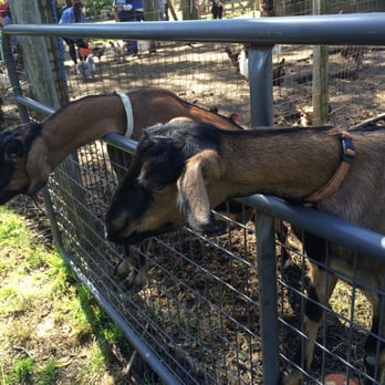 BENNER’S FARM - Updated December 2025 - 55 Photos & 29 Reviews - 56 ...