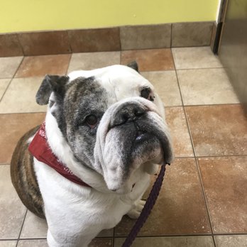 Banfield Pet Hospital - Veterinarians Near Me - Gaithersburg, Maryland Banfield Pet Hospital - Veterinarians Near Me - Gaithersburg, Maryland