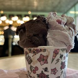 Anita Gelato - Dark chocolate and palvola berry
