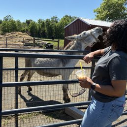 The friendliest pony and I The friendliest pony and I