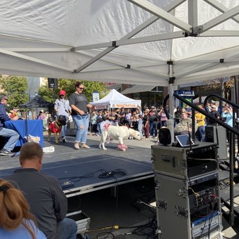 Easton Pet Parade - Festivals Near Me - Columbus, Ohio