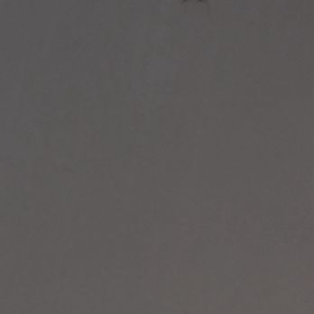 Desert Palms Hotel and Suites - Cockroach on the wall. - Hotels Near Me - Anaheim, California