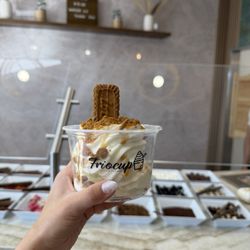 Friocup Frozen Yogurt - Best frozen yogurt
