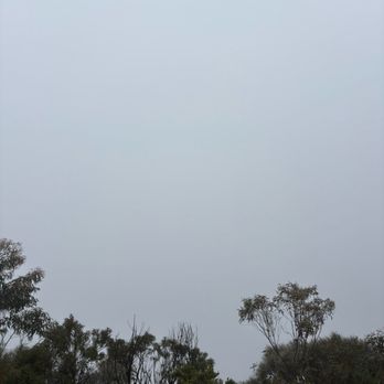 Scenic World Blue Mountains - Lookout from Oreades Lookout. Isn't it beautiful - Tours Near Me - Katoomba, NSW