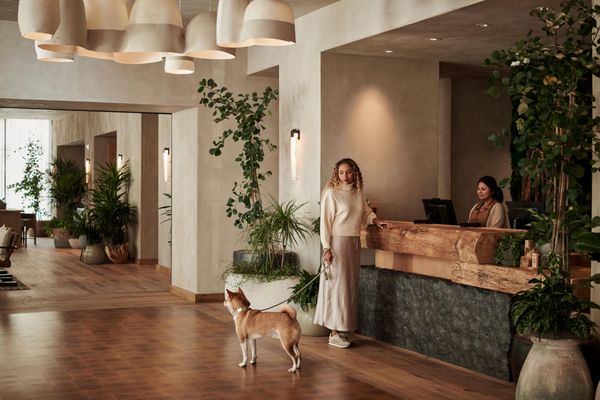 1 Hotel San Francisco by null