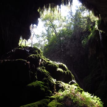 Westcave Outdoor Discovery Center - Parks Near Me - Round Mountain, Texas