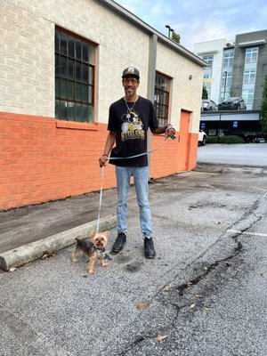 WAG-A-LOT Downtown by null