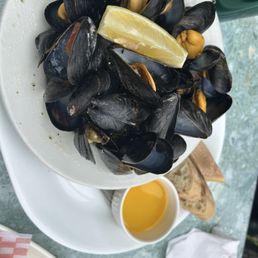 Mussels Mussels