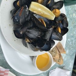The Gables Restaurant - Mussels