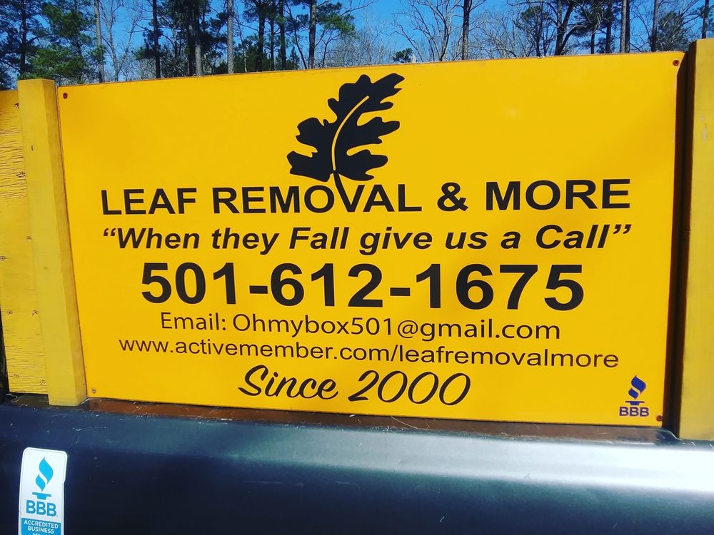 Great American Wings