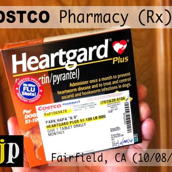 Costco - Heartgard Plus ($45.16 + tax) 6 mos supply - Wholesalers Near Me - Fairfield, California Costco - Heartgard Plus ($45.16 + tax) 6 mos supply - Wholesalers Near Me - Fairfield, California