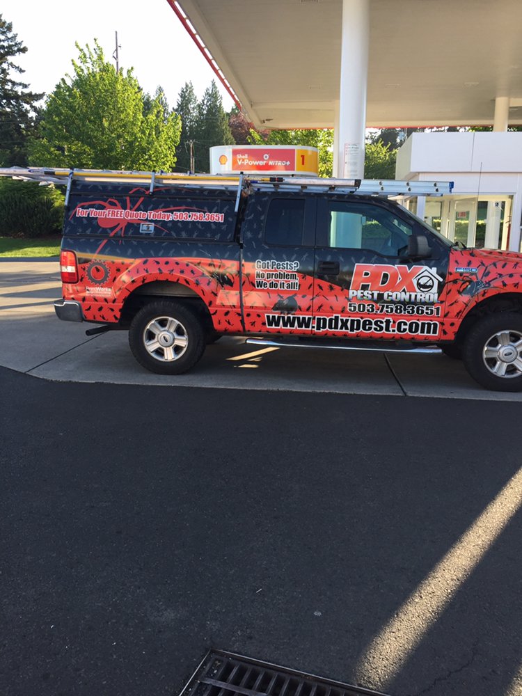PDX PEST CONTROL Salem, Oregon Pest Control Phone Number Yelp