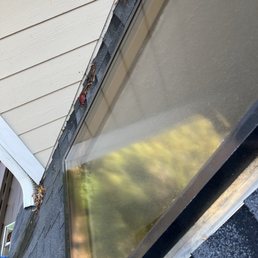 The paint overspray won't come off the sky lights