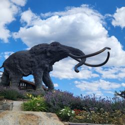 Mammoth Adventure Center