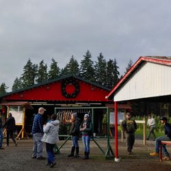 Double Four Tree Farm - Walking in