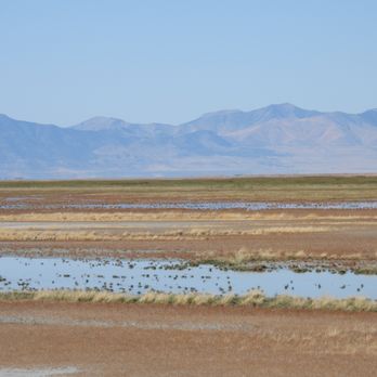 Antelope Island State Park - Hiking Near Me - Syracuse, Utah Antelope Island State Park - Hiking Near Me - Syracuse, Utah