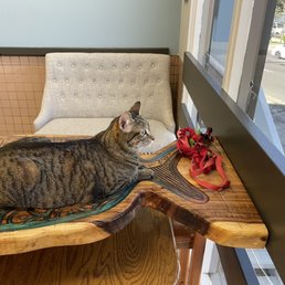 Luna in exam room with view outside. Luna in exam room with view outside.