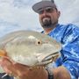 Photo of Hilton Head Dolphin Tours