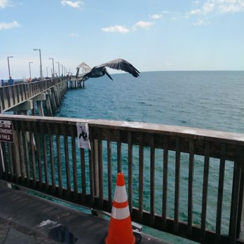 Gulf State Park Pier - Pelicans - Parks Near Me - Gulf Shores, Alabama Gulf State Park Pier - Pelicans - Parks Near Me - Gulf Shores, Alabama